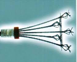 dau-neo-chet-thi-cong-san-du-ung-luc