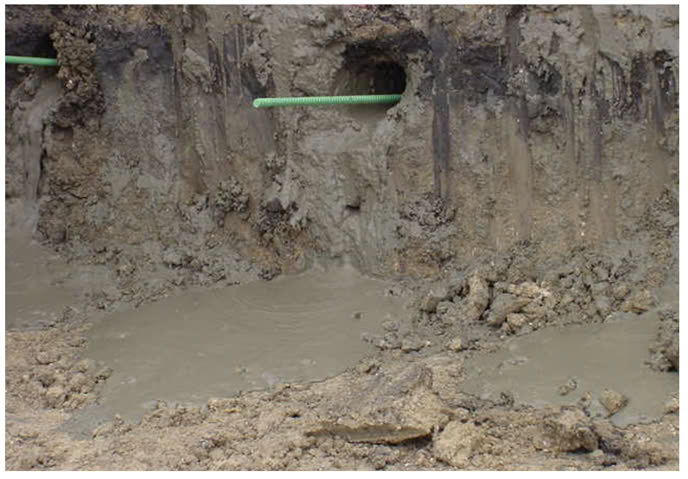 dau-dinh-dat-khong-bom-day-vua