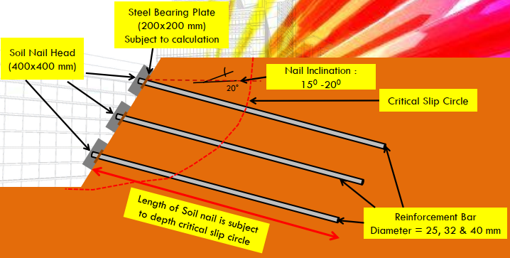 cau-tao-cua-dinh-neo
