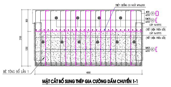 ai chủ đầu tư dolce penisola
