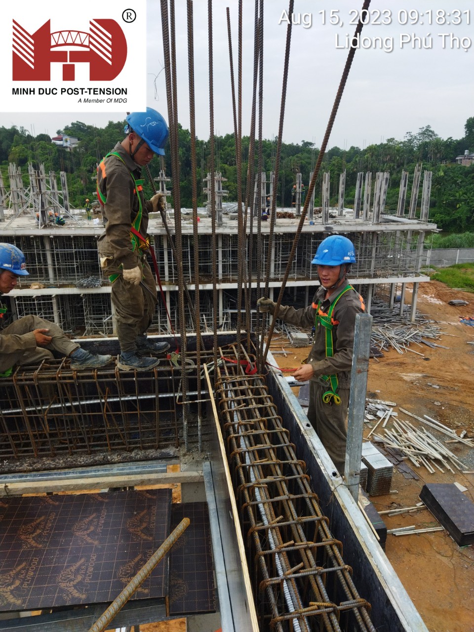 Thi công sàn dự ứng lực tại Lidong Phú Thọ