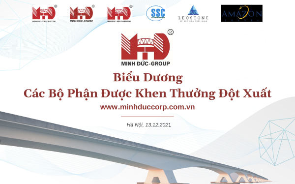 hoạt động của tập đoàn minh đức