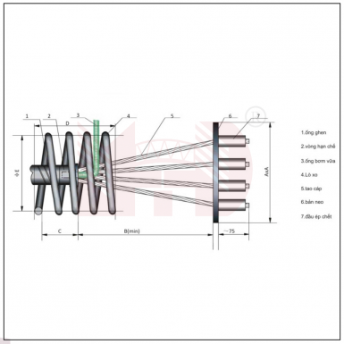 NEO CHẾT DẠNG ÉP CHẾT