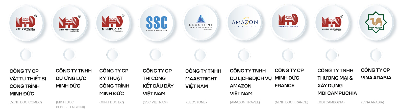 HỆ SINH THÁI TẬP ĐOÀN